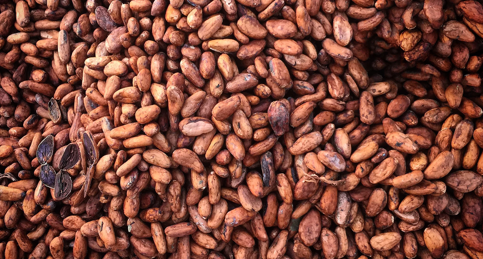 5150 Chocolate Co. Delray Beach Florida